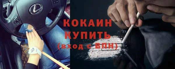 стаф Абинск
