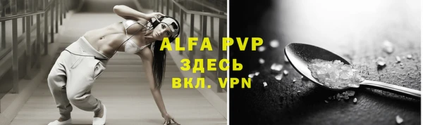 стаф Абинск