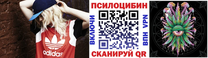 Псилоцибиновые грибы Cubensis  Мосальск 